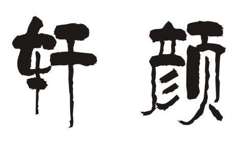 轩颜商标注册申请申请/注册号:7881503申请日期:2009