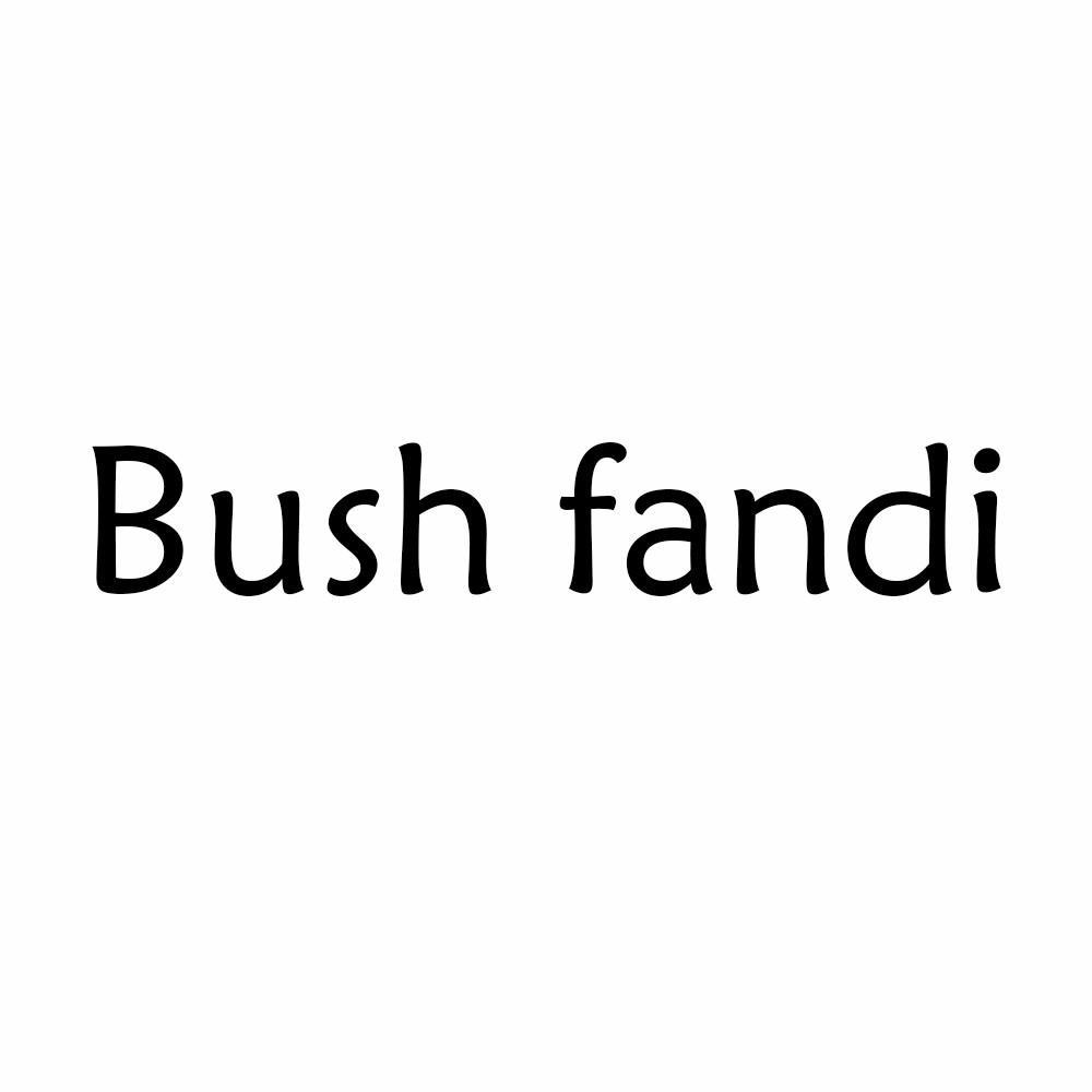 bush怎么读图片