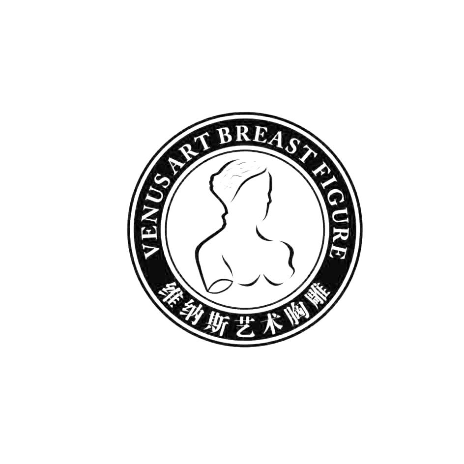  em>维纳斯 /em> em>艺术 /em>胸雕 venus art  em>breast /em>  em>