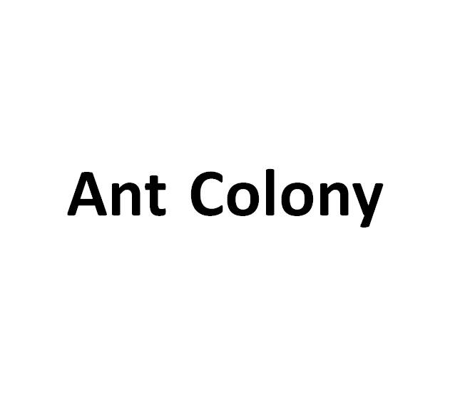  em>ant /em>  em>colony /em>