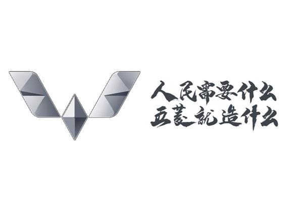 人民需要什么 五菱就造什么                 
