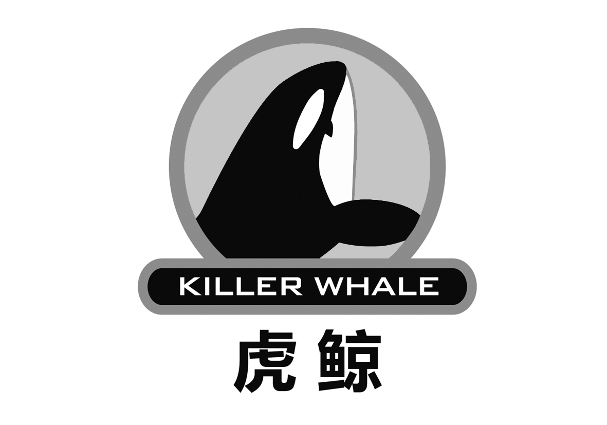 虎鲸 em>killer /em>  em>whale /em>