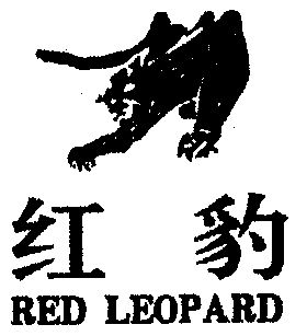  em>红 /em> em>豹 /em>; em>red /em>  em>leopard /em>