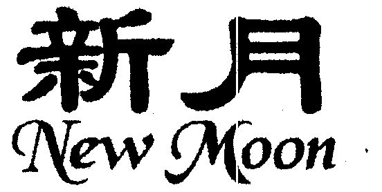  em>新月 /em>; em>new /em>  em>moon /em>