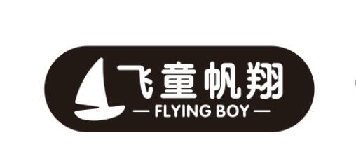  em>飞 /em> em>童帆翔 /em> flying boy
