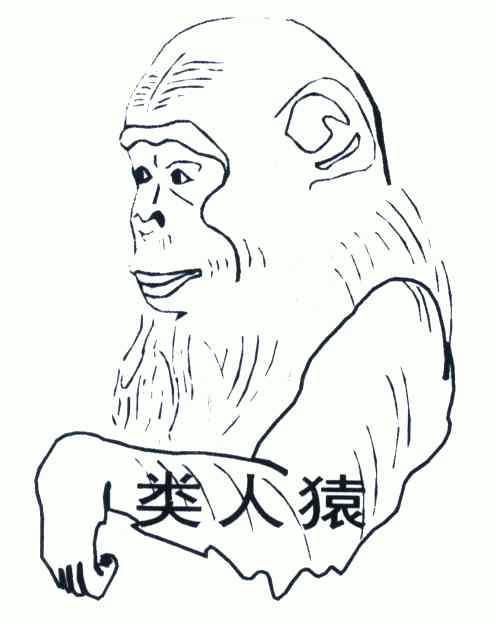  em>类人猿 /em>