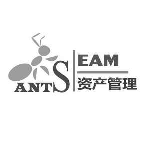资产管理 ants eam                         