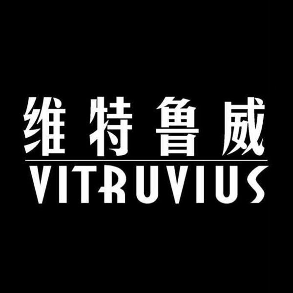  em>维特鲁威 /em> em>vitruvius /em>