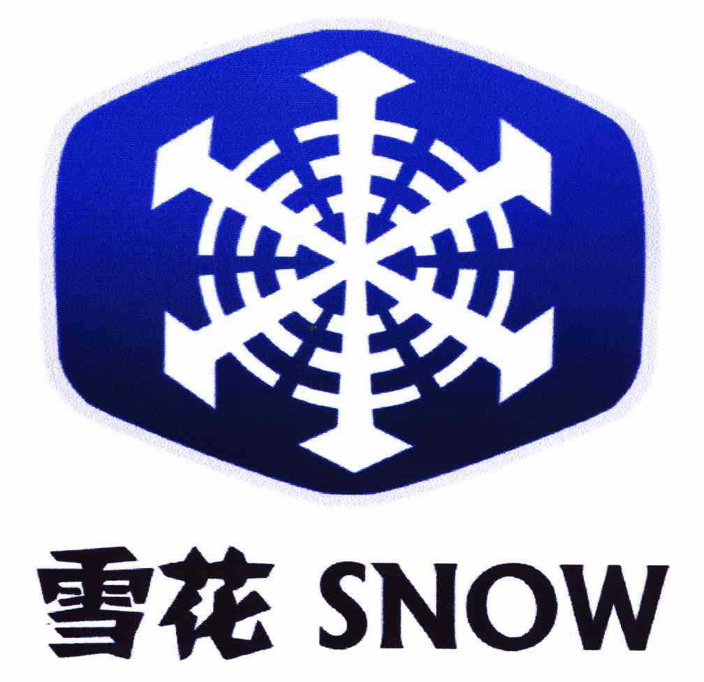 雪花的标志图案大全图片