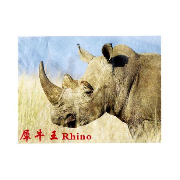  em>犀牛 /em> em>王 /em>  em>rhino /em>