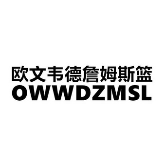 欧文韦德詹姆斯篮 owwdzmsl