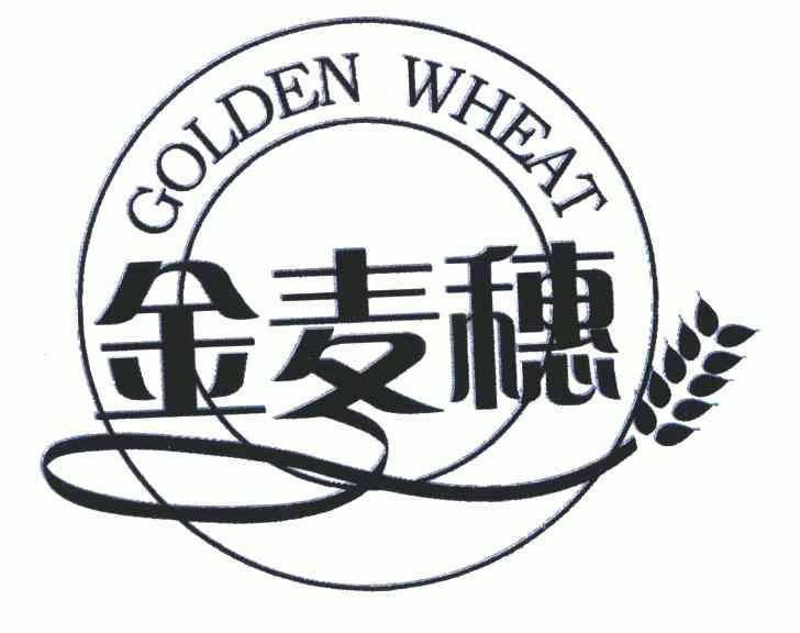 金麦穗goldenwheat 
