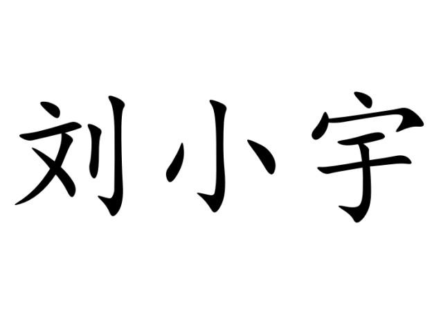  em>刘小宇 /em>