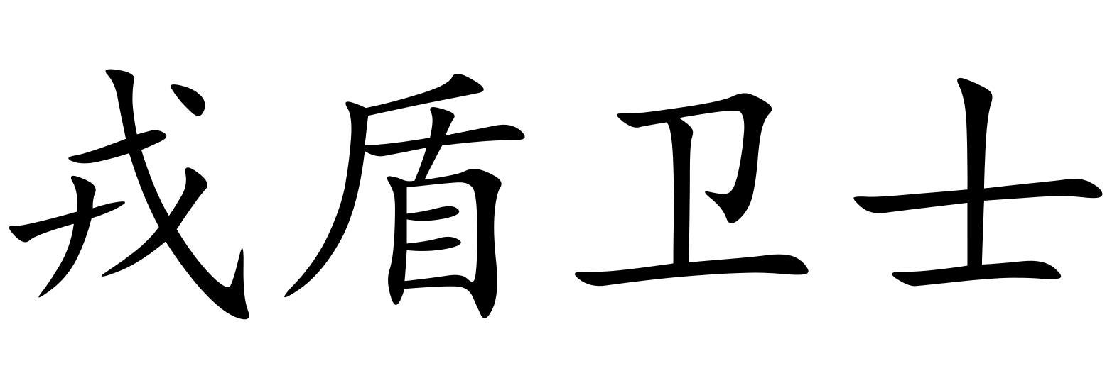 em>戎盾卫士 /em>