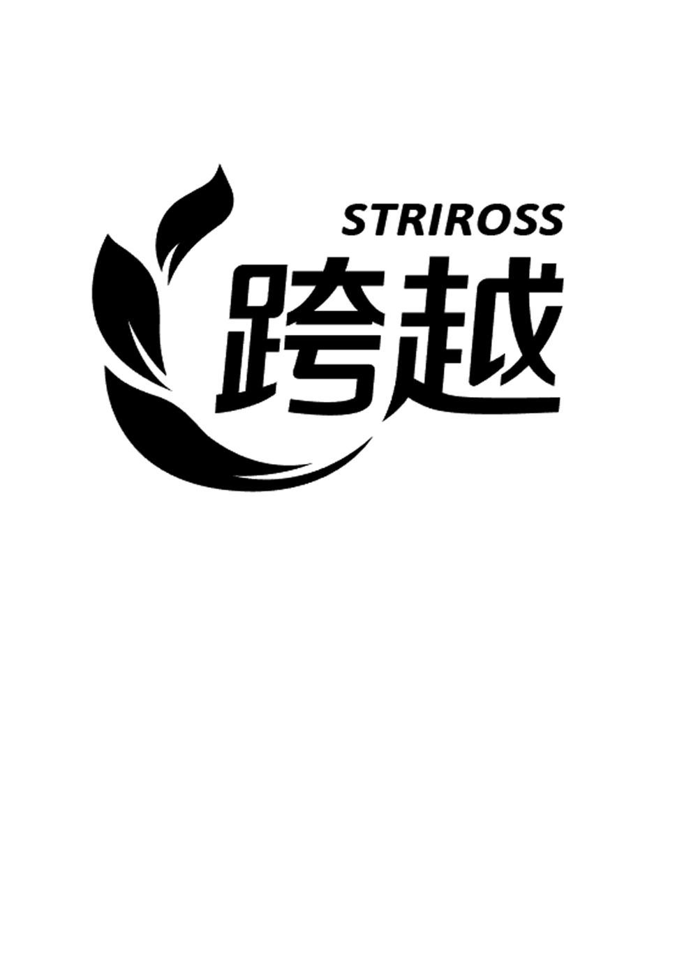 跨越striross