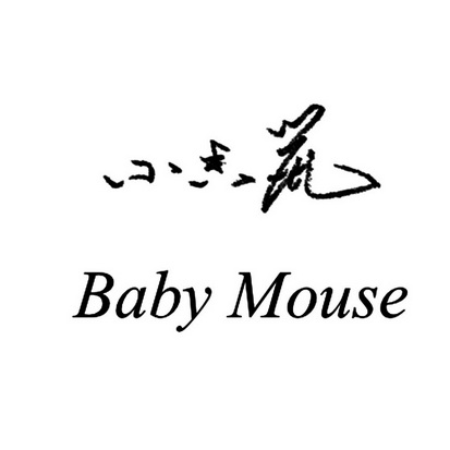  em>小 /em> em>香 /em> em>鼠 /em> baby mouse