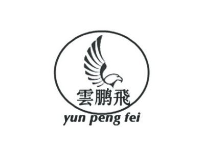  em>云鹏飞 /em>