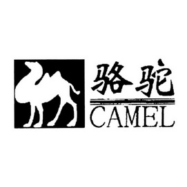 骆驼 camel                                