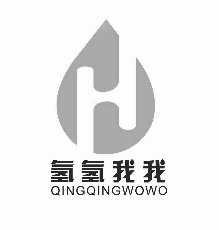  em>氢氢我 /em>我