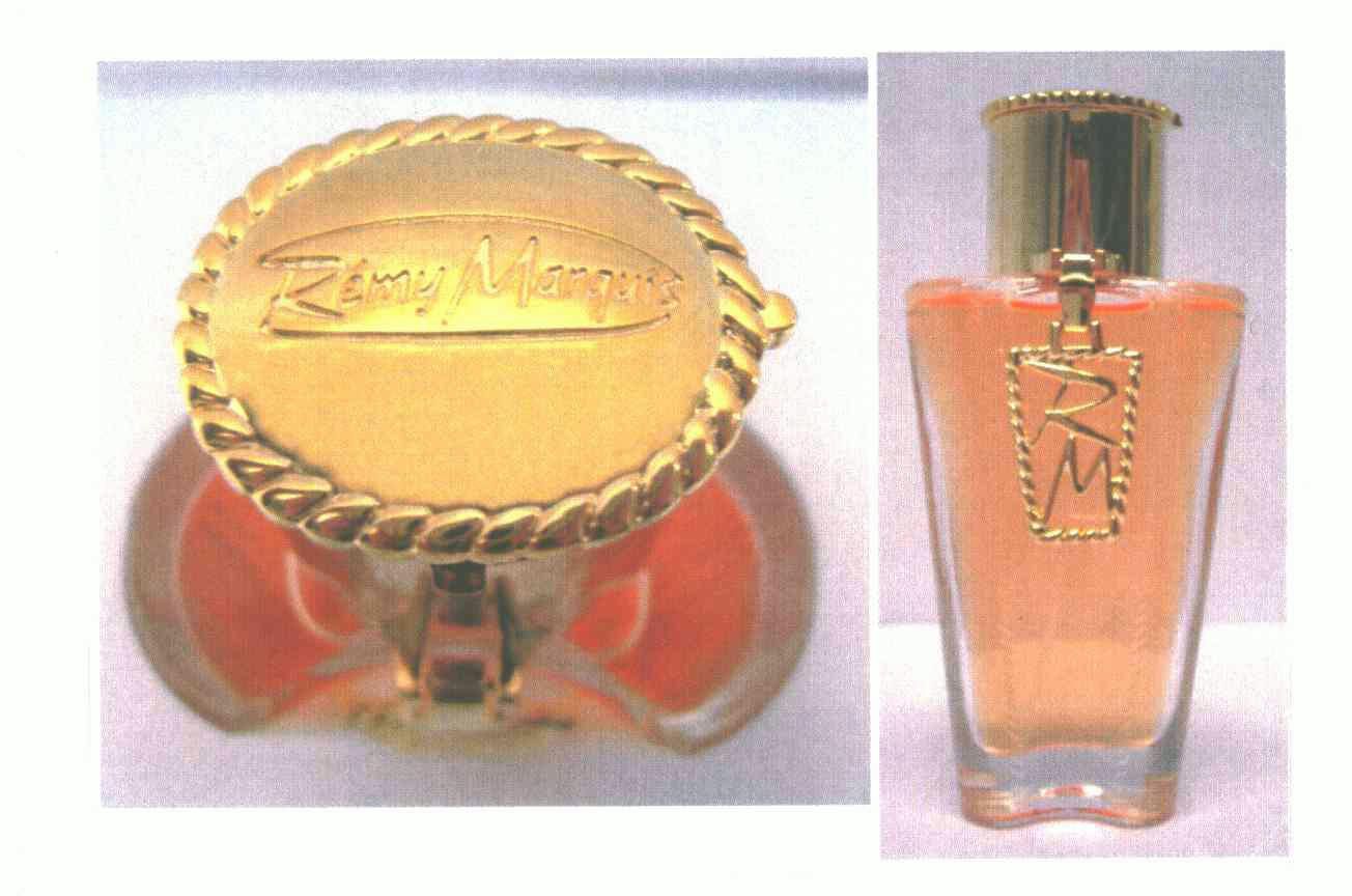  em>remy /em> marquis;rm