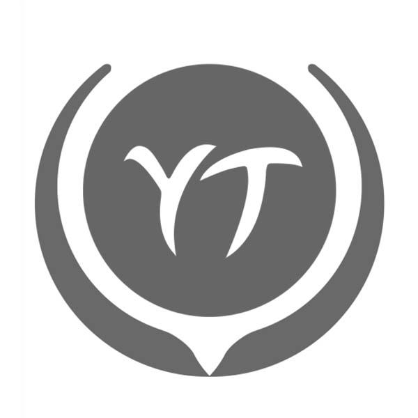 yt字母logo设计图片