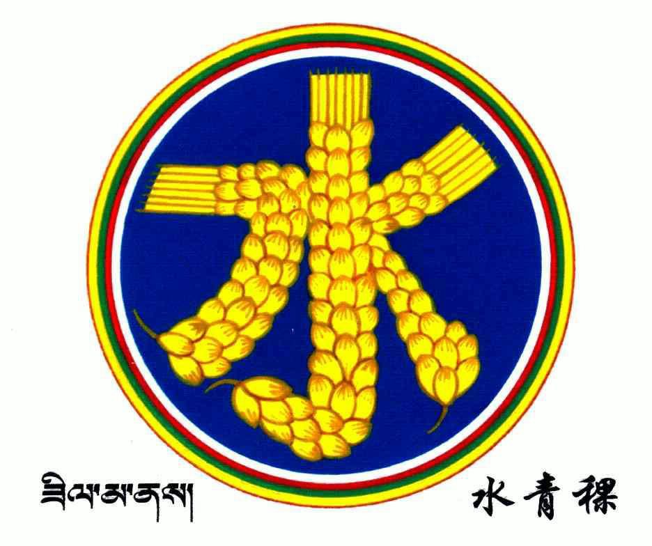  em>水 /em>; em>水 /em> em>青稞 /em>