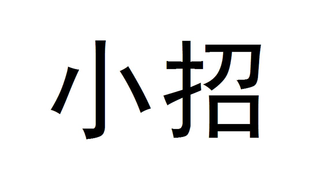 em>小/em em>招/em>