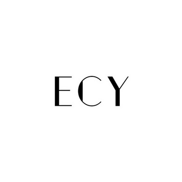 ecy申请被驳回不予受理等该商标已失效