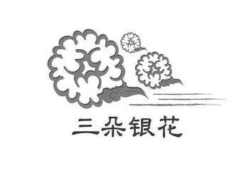 三朵银花_企业商标大全_商标信息查询_爱企查