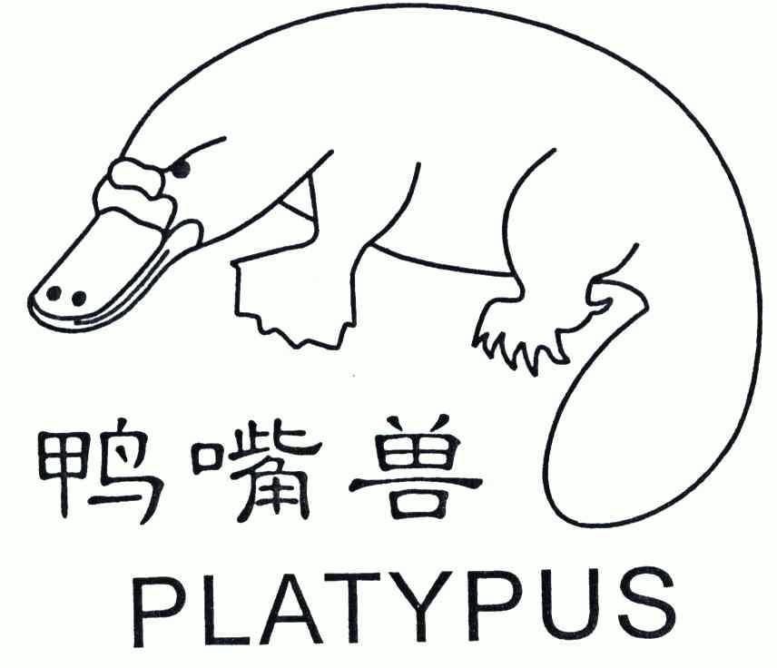  em>鸭嘴兽 /em>;platypus