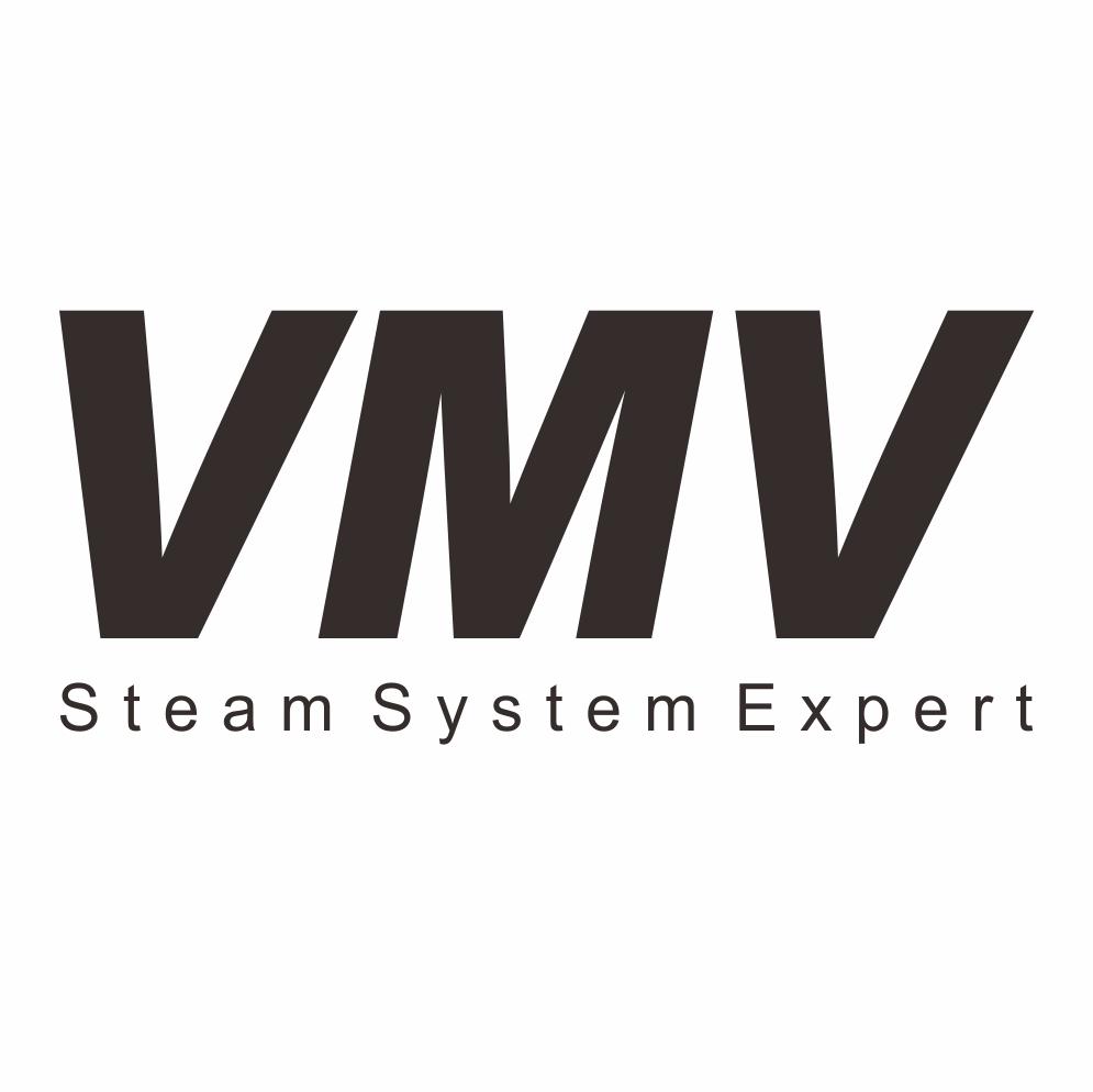 vmv em>steam/em em>system/em expert