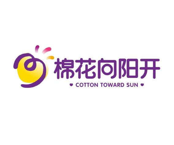 棉花向阳开 cotton toward sun