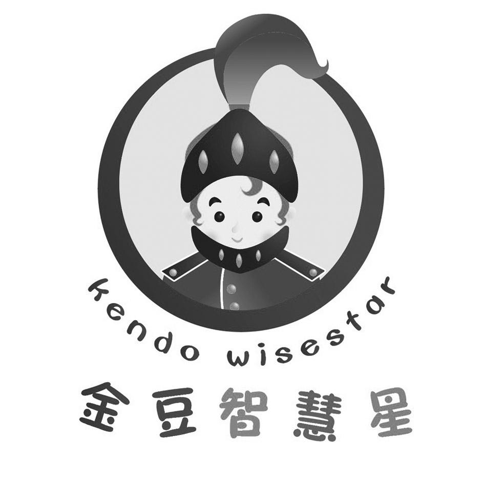 kendo wisestar 金豆智慧星