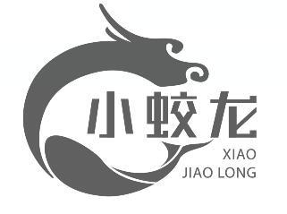 小蛟龙