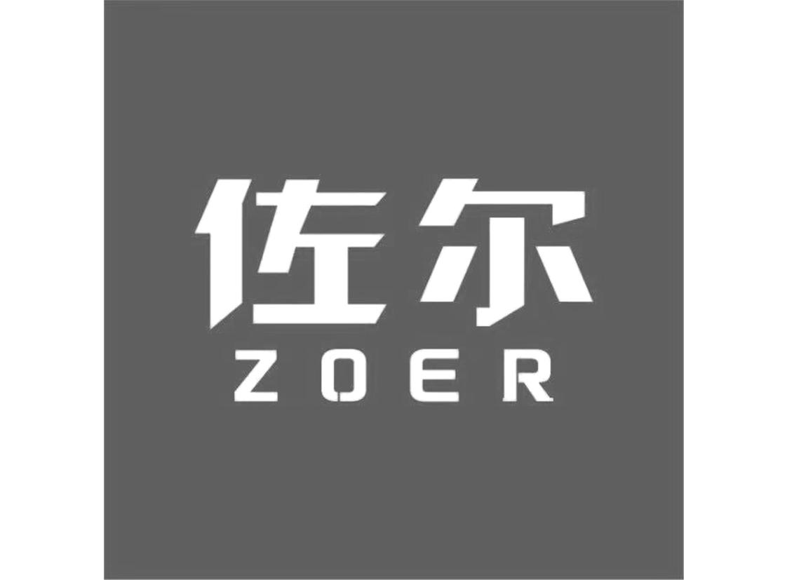 佐尔 em>zoer /em>