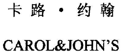 卡路约翰 em>carol /em> em>johns /em>