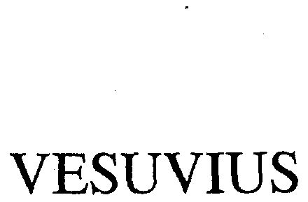维苏威vesuvius_企业商标大全_商标信息查询_爱企查