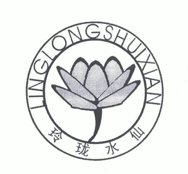  em>玲珑 /em> em>水仙 /em>