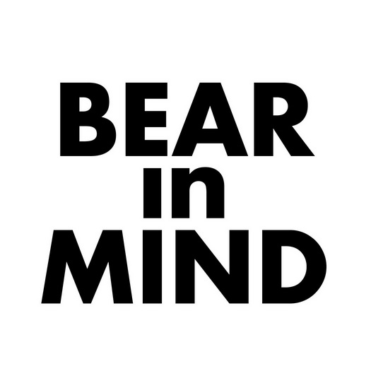 bear in mind 