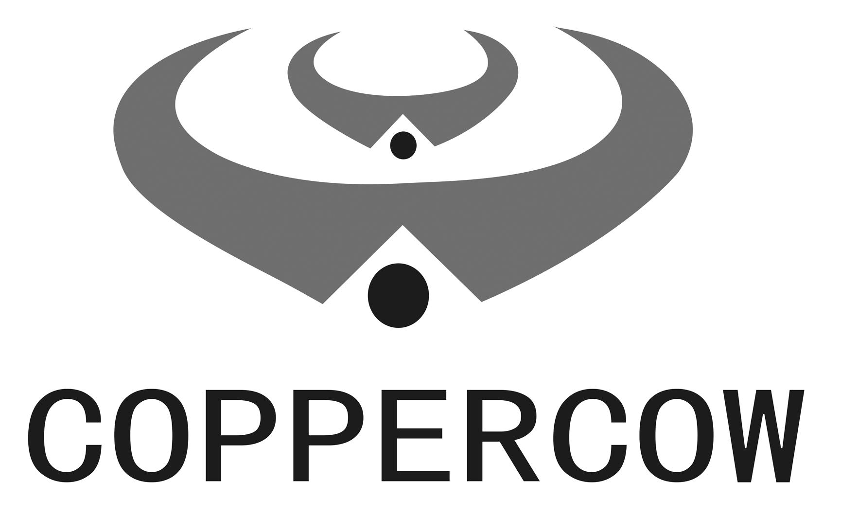 分类:第35类-广告销售商标申请人:河北铜牛家具有限公司办理/代理机构