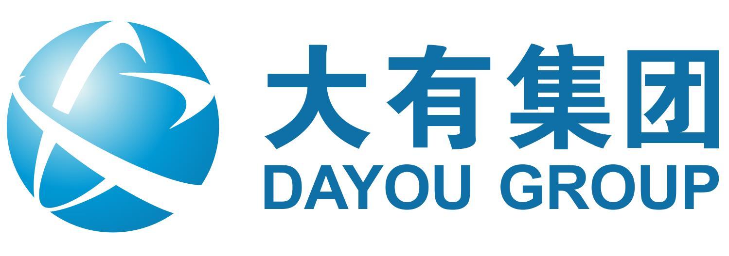 大有集团 dayou group      