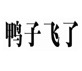 鸭子飞了                                  