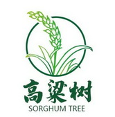 高粱树 sorghum tree