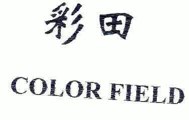  em>彩田 /em>;color field