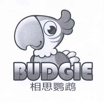  em>相思 /em> em>鹦鹉 /em> em>budgie /em>