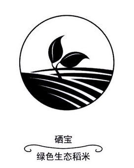 硒宝绿色生态稻米