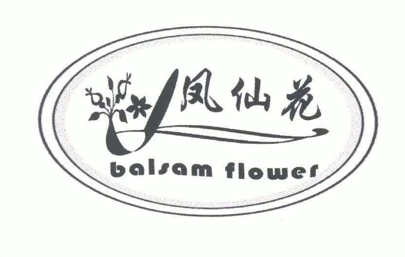  em>凤仙花 /em>; em>balsam /em> em>flower /em>