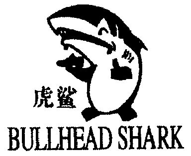  em>虎鲨 /em>;bullhead shark