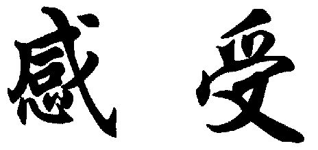 2003-06-27国际分类:第35类-广告销售商标申请人:杨志国办理/代理机构