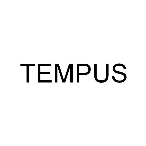 em tempus /em